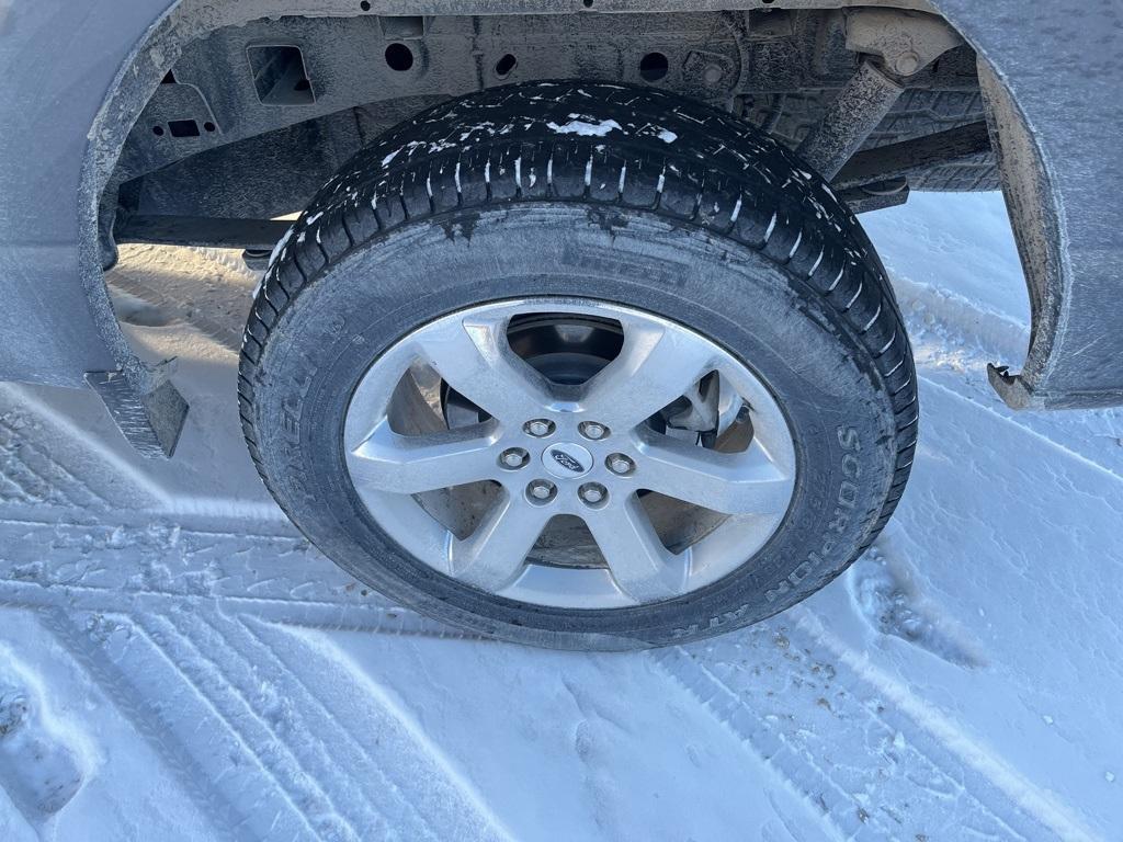 used 2023 Ford F-150 car, priced at $48,888