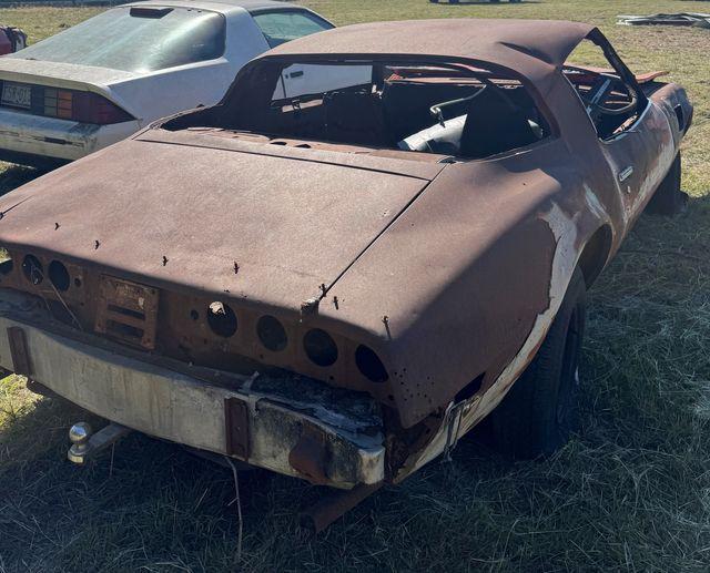 used 1975 Pontiac Firebird car