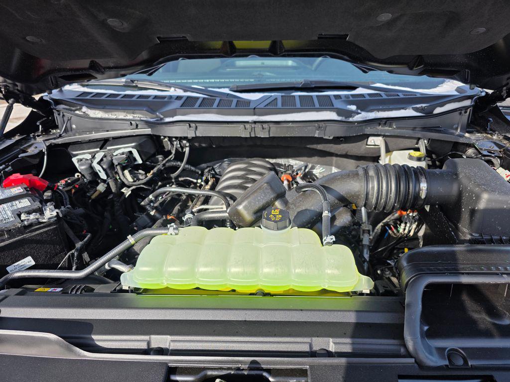 used 2025 Ford F-150 car