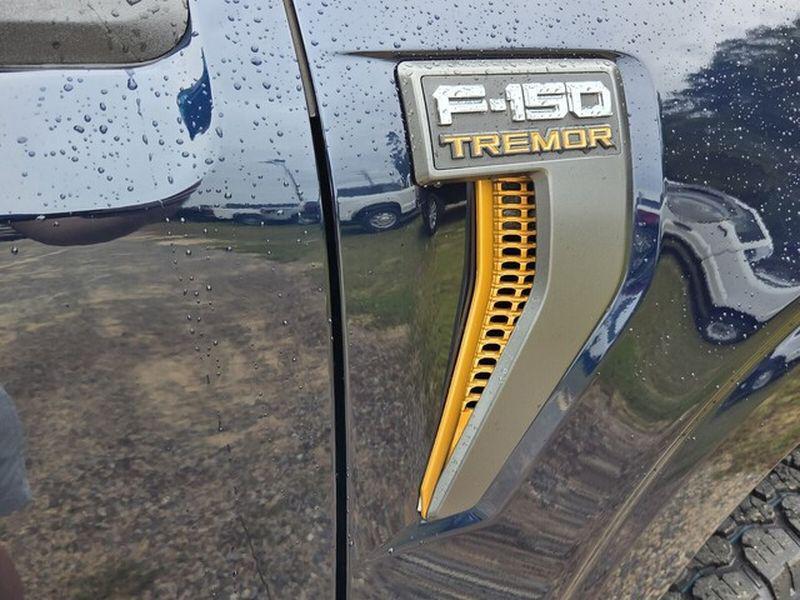 used 2025 Ford F-150 car, priced at $64,517