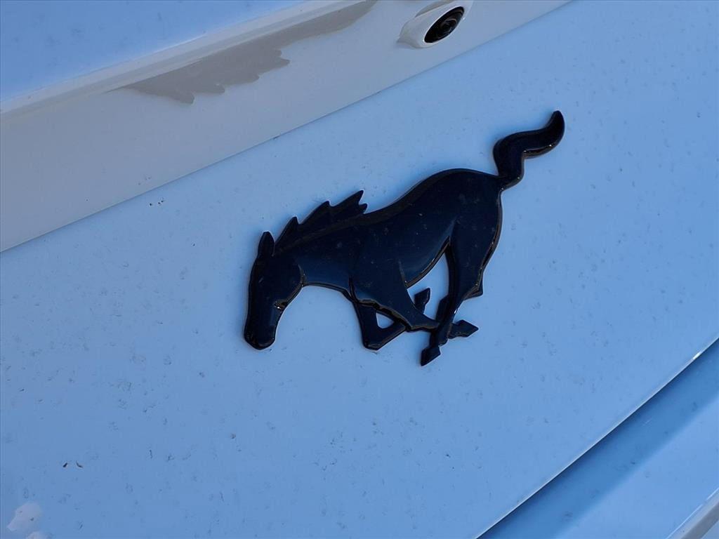 new 2026 Ford Mustang car, priced at $34,923