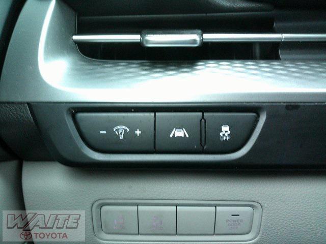 used 2023 Kia Carnival car, priced at $24,500