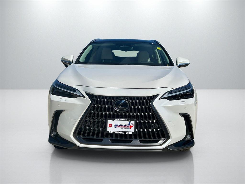 used 2025 Lexus NX 350h car, priced at $55,383