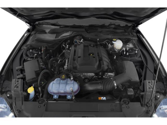 used 2019 Ford Mustang car, priced at $17,850