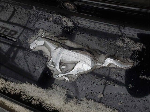 used 2019 Ford Mustang car, priced at $14,988