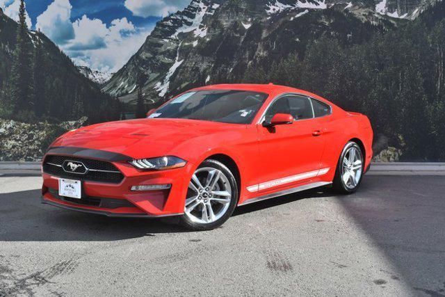 used 2020 Ford Mustang car, priced at $19,999