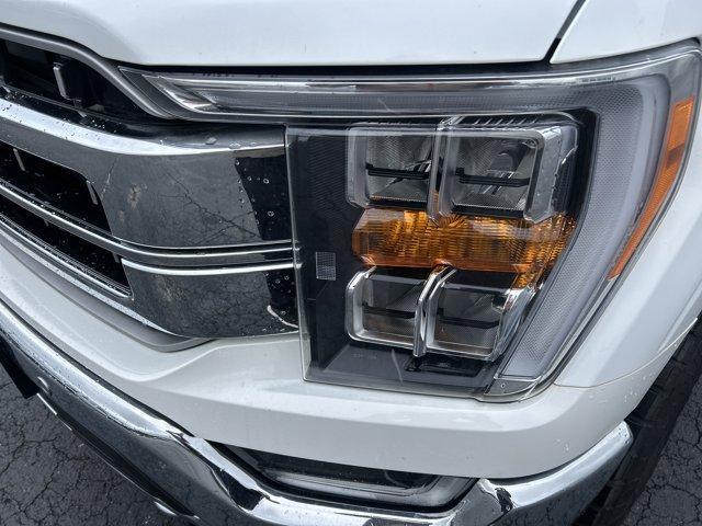 used 2023 Ford F-150 car, priced at $41,000