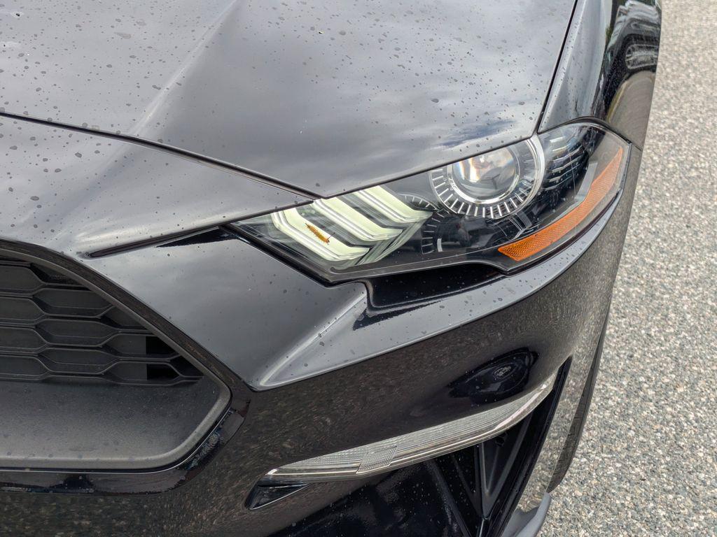 used 2023 Ford Mustang car, priced at $25,109