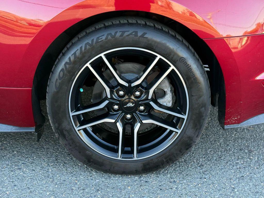 used 2019 Ford Mustang car, priced at $19,499