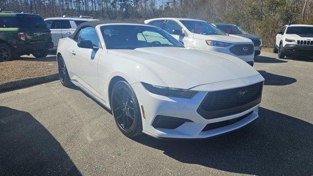used 2025 Ford Mustang car