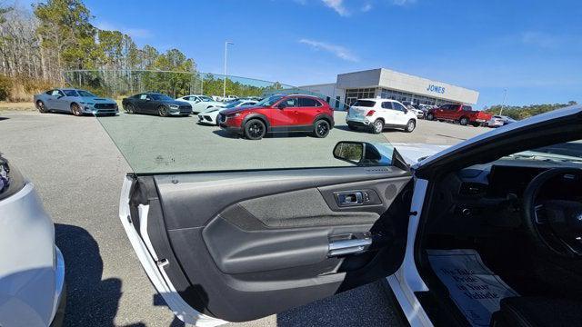 used 2025 Ford Mustang car