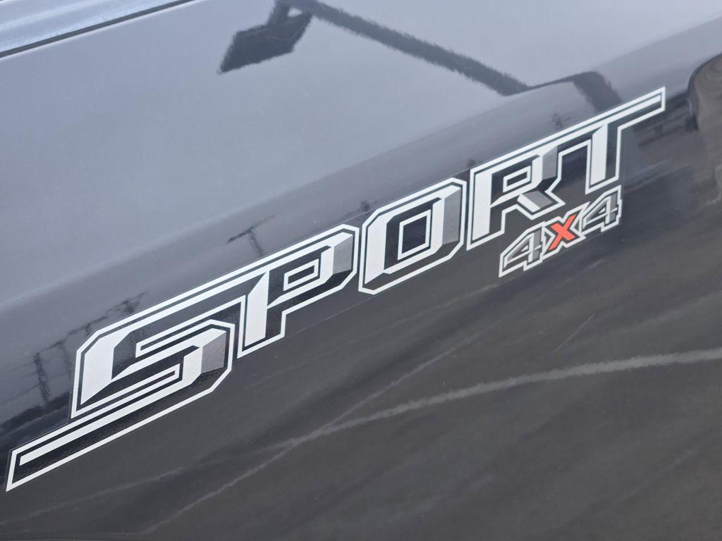 used 2019 Ford F-150 car