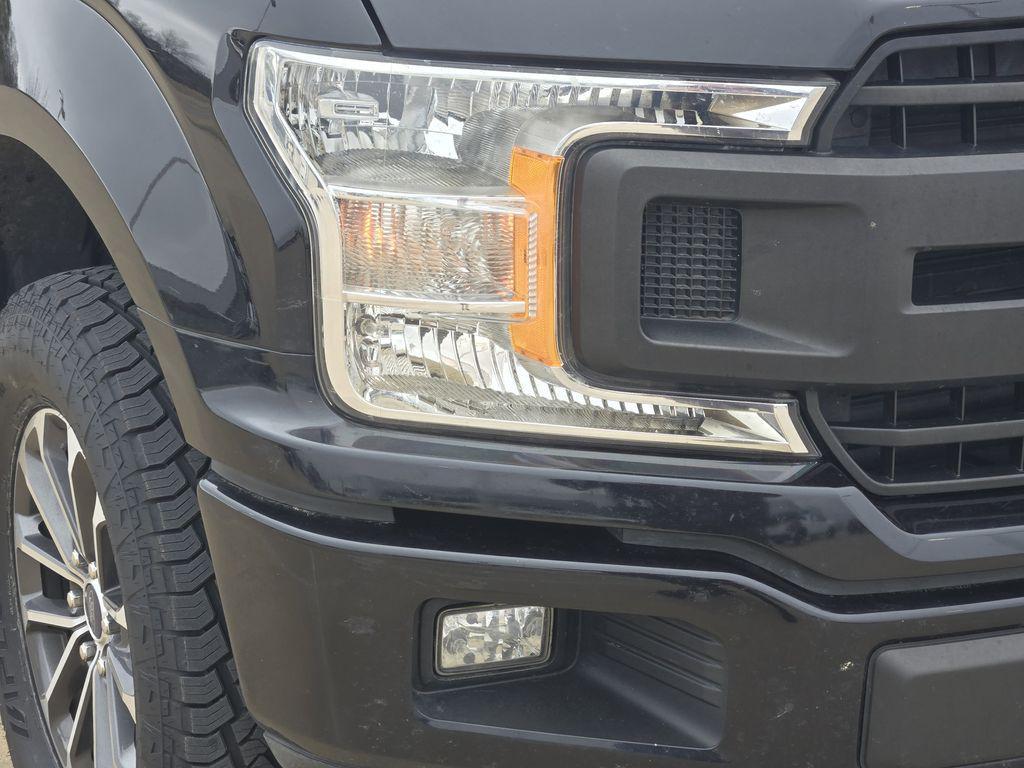 used 2019 Ford F-150 car