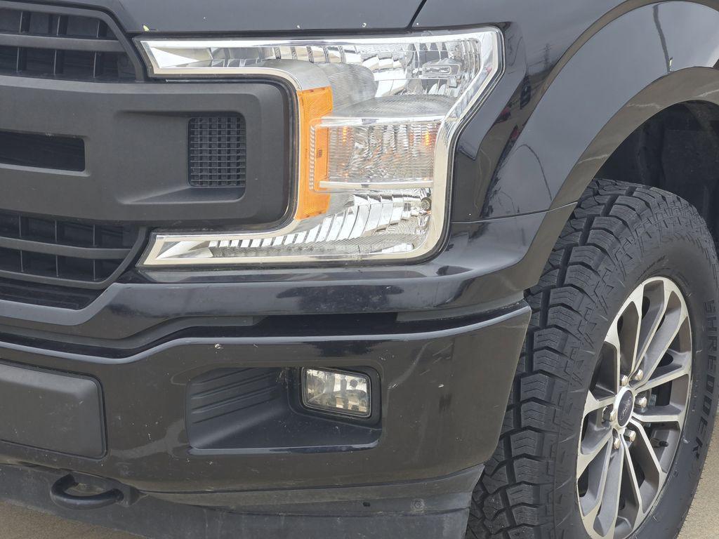 used 2019 Ford F-150 car