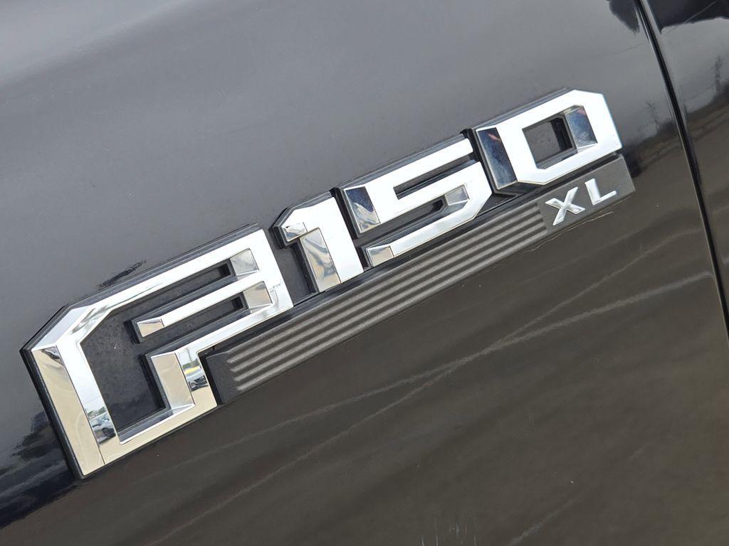 used 2019 Ford F-150 car