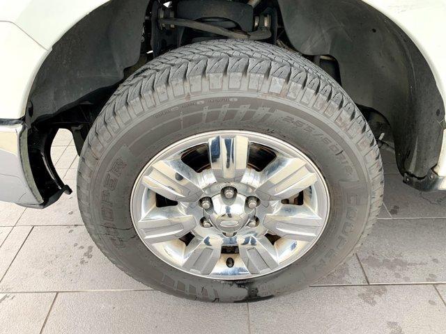 used 2010 Ford F-150 car