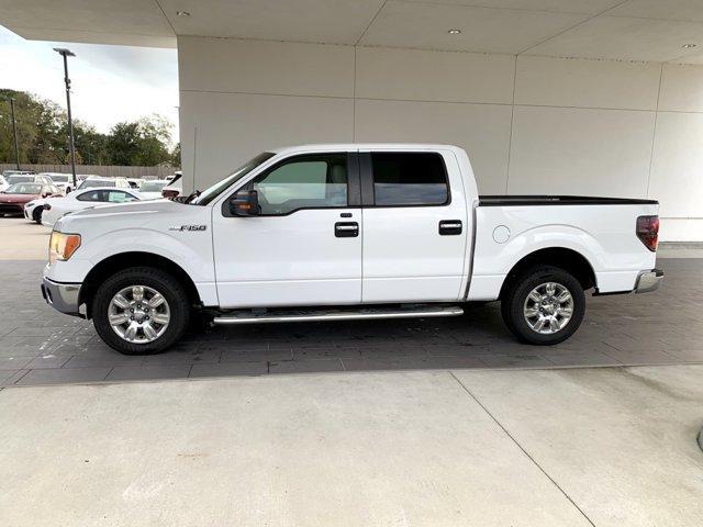 used 2010 Ford F-150 car
