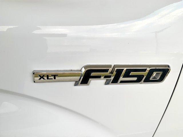 used 2010 Ford F-150 car