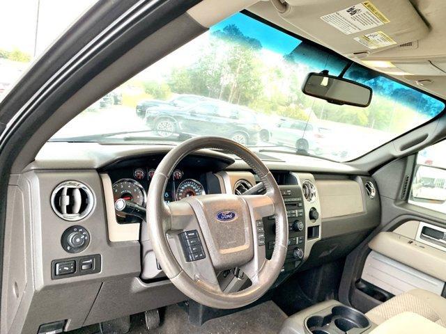 used 2010 Ford F-150 car