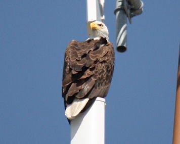 Dealership gallery photo 5