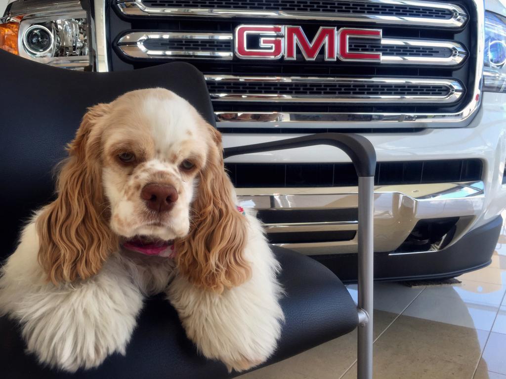 Dealership gallery photo 7