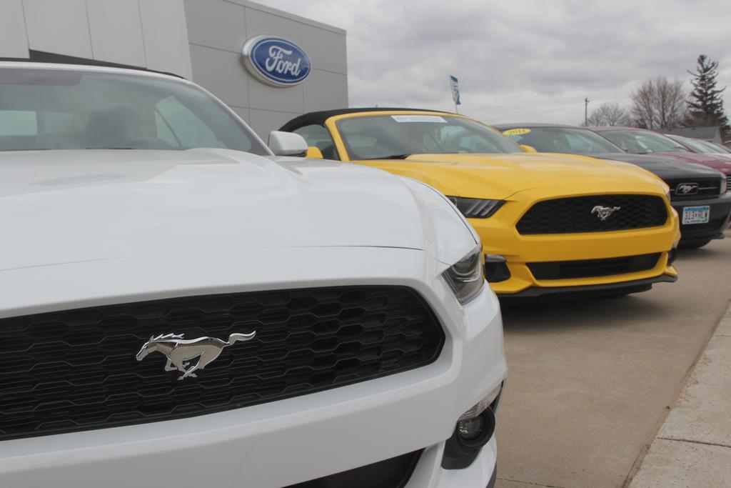 Dealership gallery photo 2