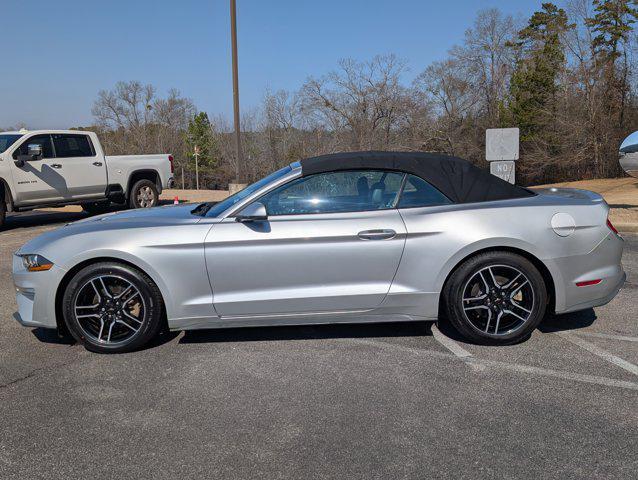 used 2019 Ford Mustang car, priced at $19,990