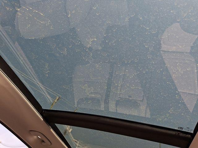 used 2023 Hyundai Tucson car, priced at $24,981