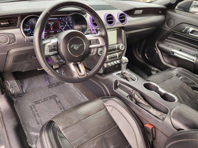 used 2019 Ford Mustang car, priced at $19,576