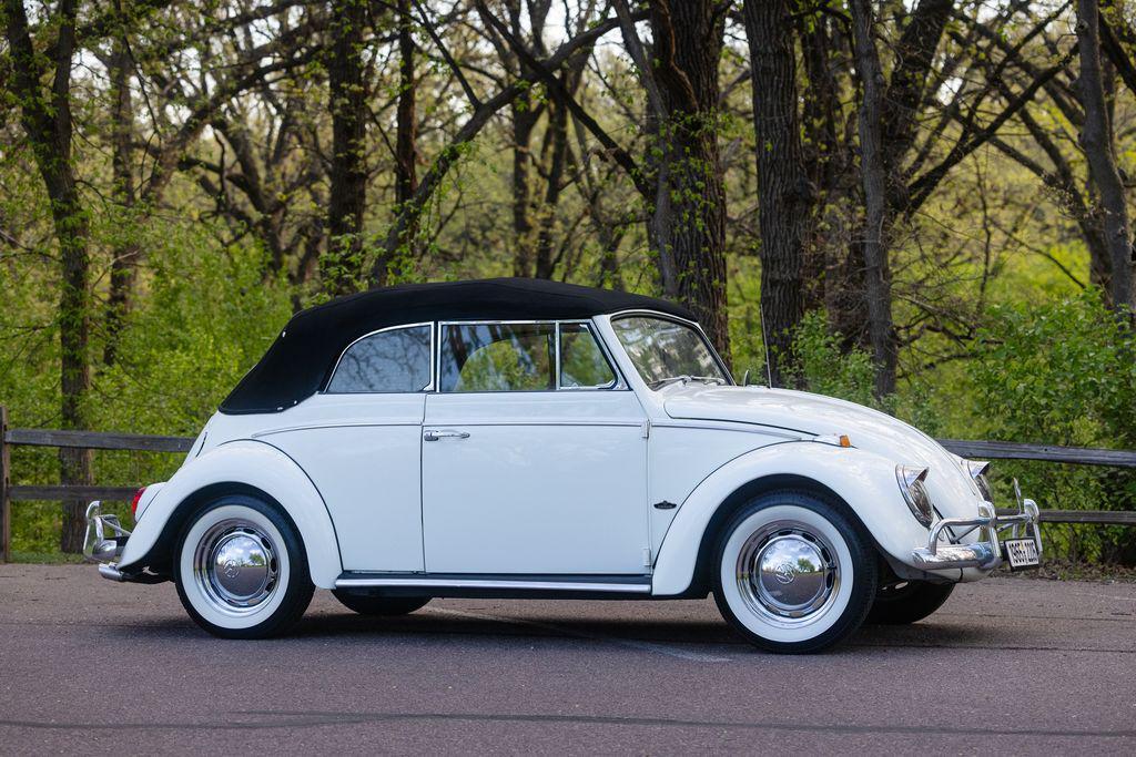 used 1965 Volkswagen Beetle (Pre-1980) car, priced at $29,224