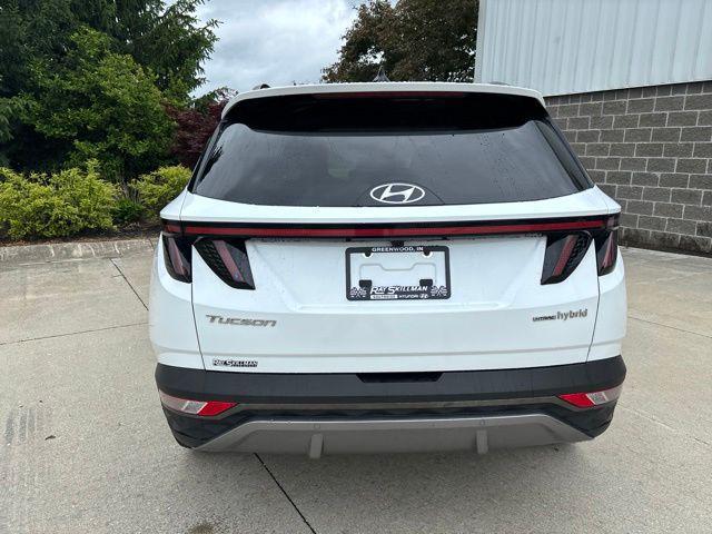 used 2024 Hyundai TUCSON Hybrid car, priced at $35,530