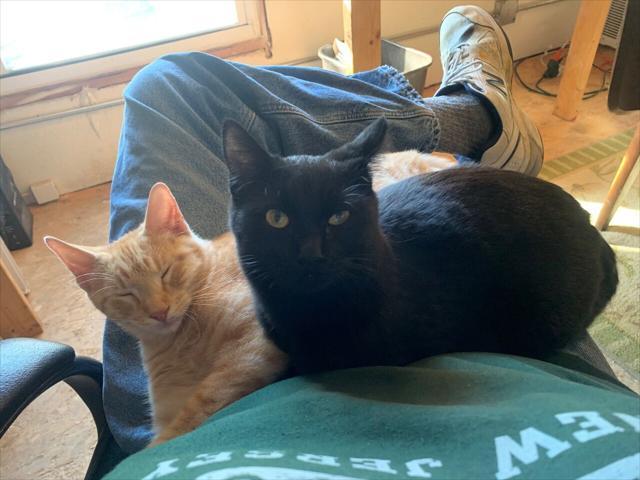 used 2011 Chevrolet Equinox car, priced at $7,950