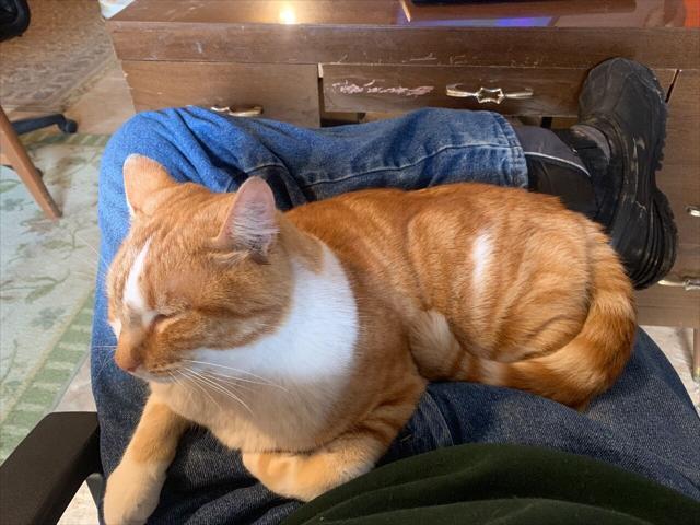 used 2007 Ford E250 car, priced at $5,950