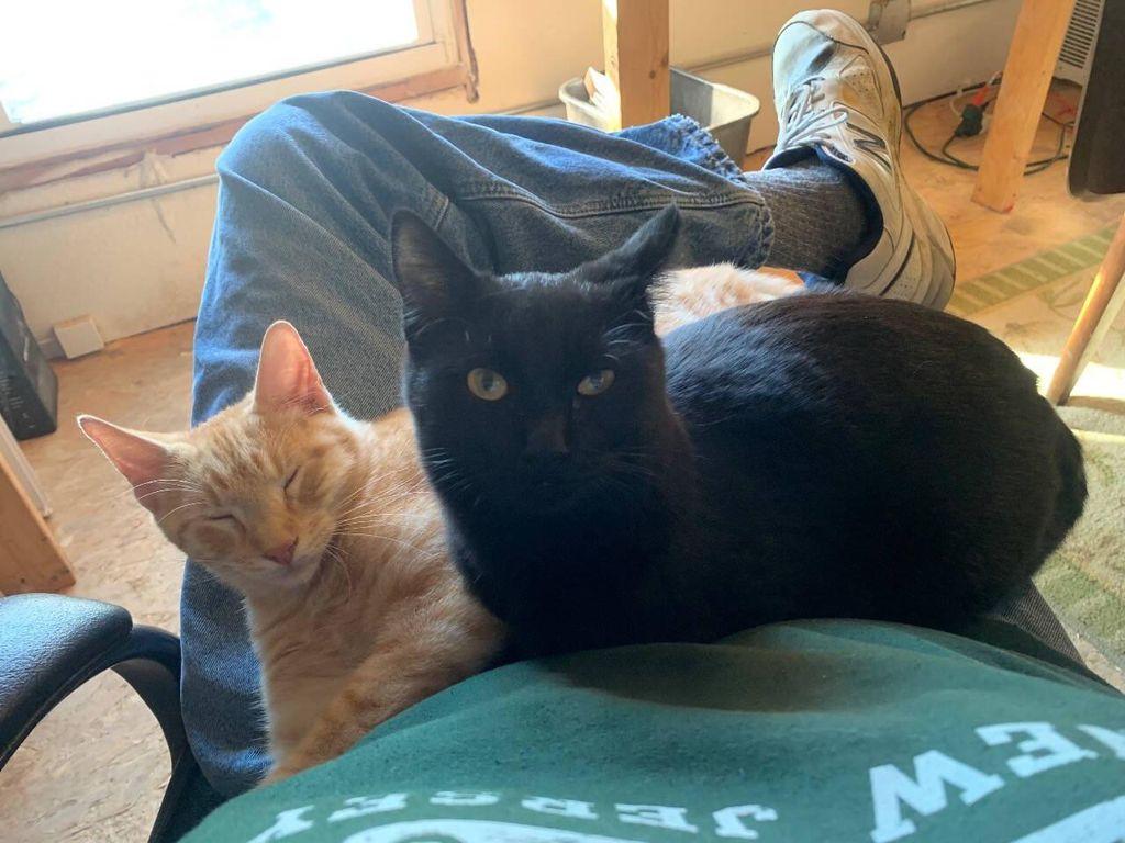 used 2008 Subaru Impreza car, priced at $5,450