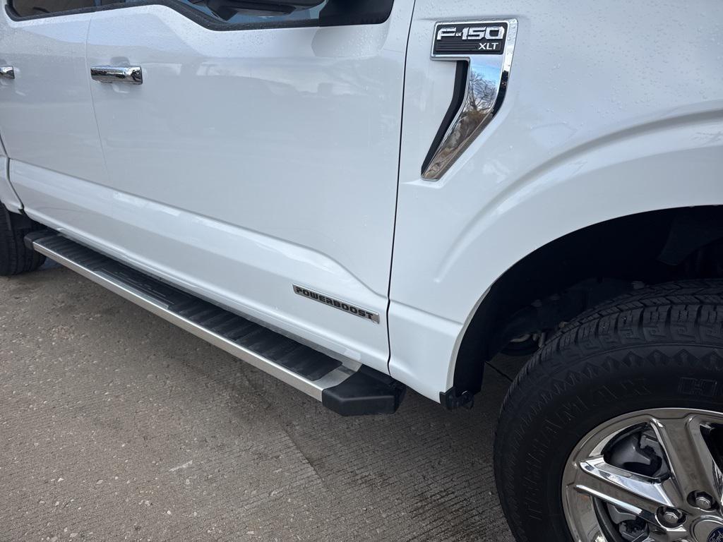 used 2024 Ford F-150 car, priced at $35,995