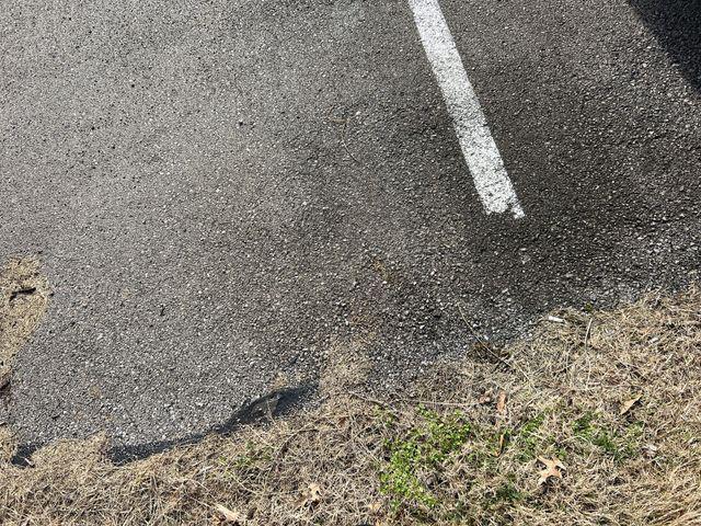 new 2026 GMC Sierra 2500 car, priced at $51,130