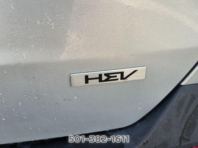 used 2025 Kia Carnival Hybrid car, priced at $40,859