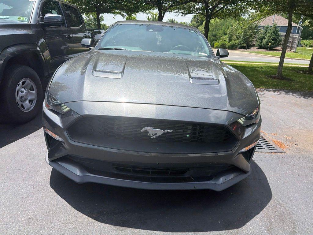 used 2019 Ford Mustang car, priced at $21,528