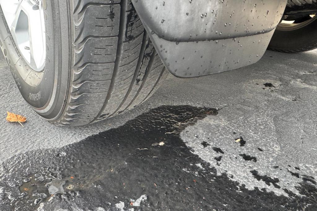 used 2021 Toyota 4Runner car