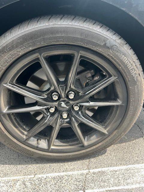 used 2024 Ford Mustang car