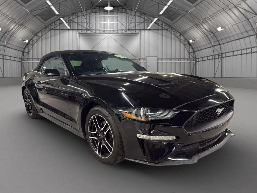 used 2023 Ford Mustang car, priced at $24,491