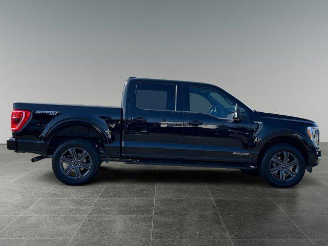used 2023 Ford F-150 car, priced at $49,888