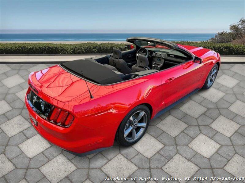 used 2015 Ford Mustang car, priced at $22,900
