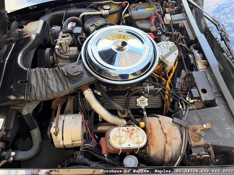 used 1981 Chevrolet Corvette car, priced at $19,900