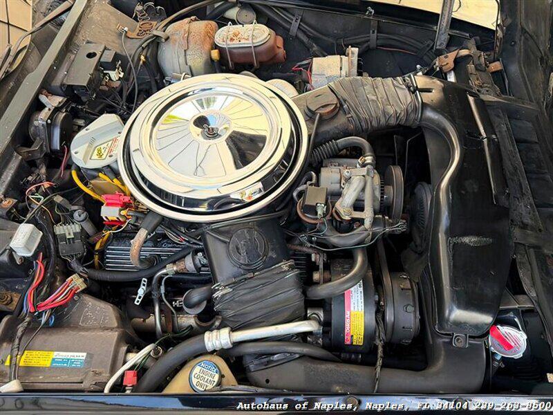 used 1981 Chevrolet Corvette car, priced at $19,900