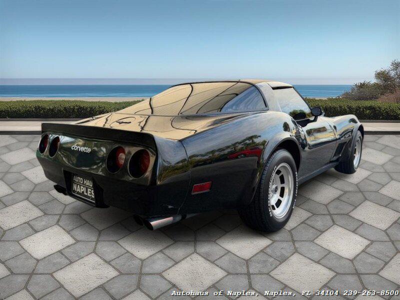 used 1981 Chevrolet Corvette car, priced at $19,900