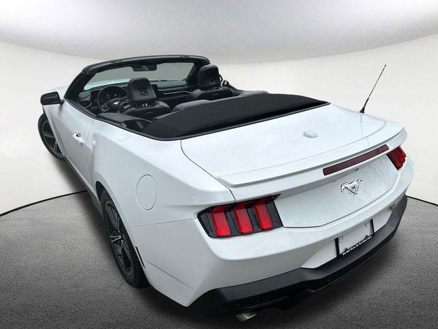 used 2024 Ford Mustang car, priced at $31,967
