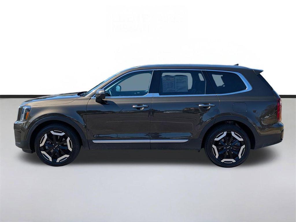 used 2025 Kia Telluride car, priced at $34,348
