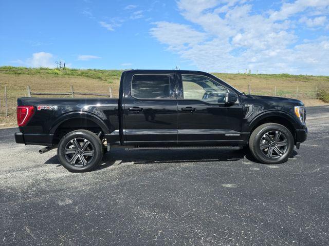 used 2023 Ford F-150 car, priced at $37,221