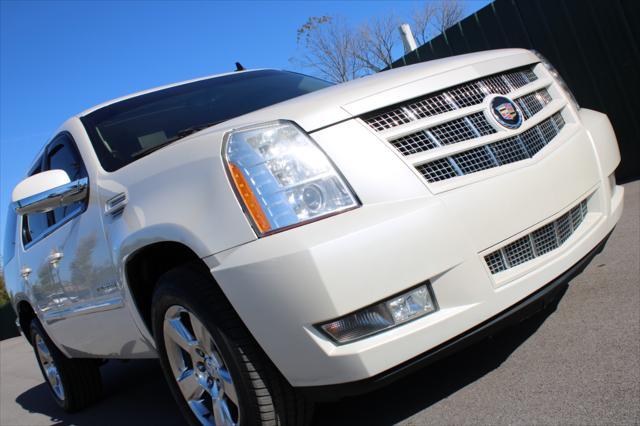 used 2014 Cadillac Escalade car, priced at $18,990